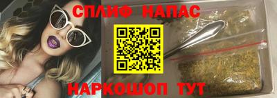 крисы Камышлов