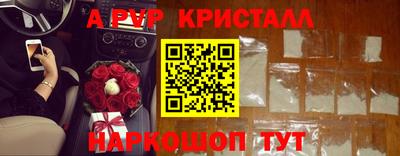 крисы Камышлов