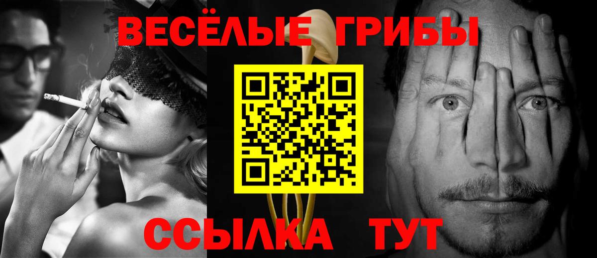 Десногорск  Псилоцибиновые грибы MAGIC MUSHROOMS  Вход с VPN 